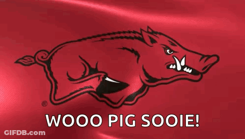A Red Background With A Picture Of A Boar And The Words Wooo Pig Sooie GIF