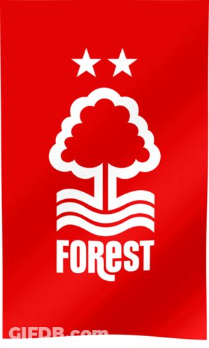 A Red Background With A White Tree And The Word Forest On It GIF
