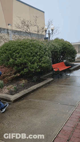 A Red Bench Sits In The Middle Of A Concrete Walkway GIF