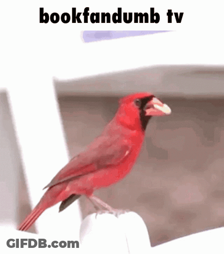 A Red Bird Is Perched On A White Chair With The Words Bookfandom Tv Written Below It GIF