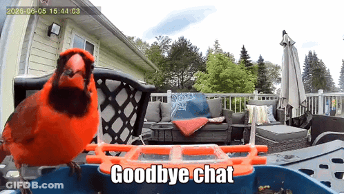 A Red Bird Is Sitting On A Bird Feeder With The Words Goodbye Chat Above It GIF