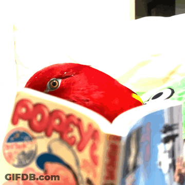 A Red Bird Sitting On Top Of A Popeye Comic Book GIF