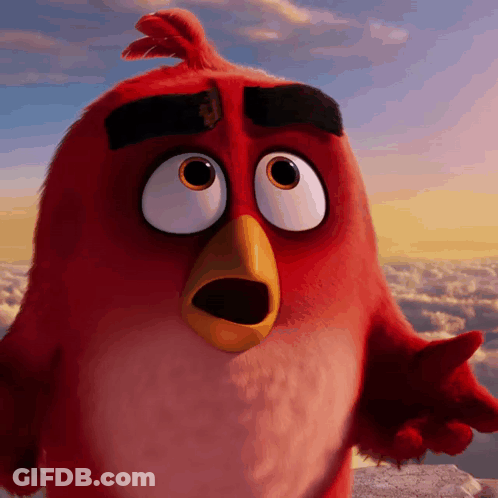 Red Bird With Surprised Expression GIF