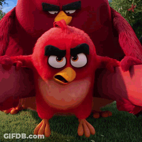 Red Bird With Yellow Beak Flying Over Field GIF