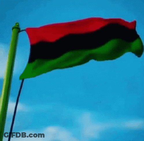A Red Black And Green Flag Is Flying In The Wind Against A Blue Sky GIF
