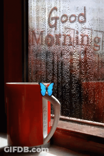 A Red Coffee Mug With A Blue Butterfly On It Sits In Front Of A Window That Says " Good Morning " GIF