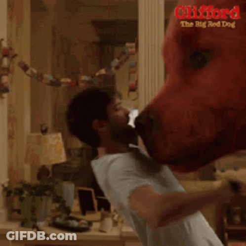 A Red Dog Is Standing In A Living Room With A Girl Standing Next To It . GIF