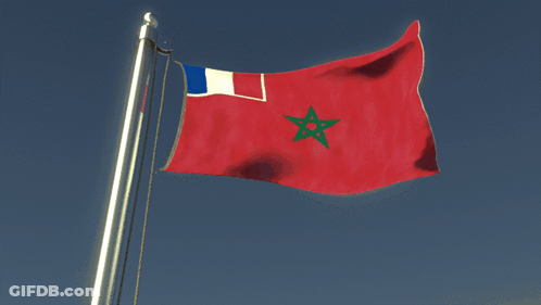 A Red Flag With A Green Star On It Is Flying GIF
