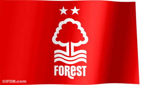 A Red Flag With A Tree And The Word Forest GIF