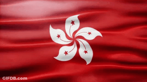 A Red Flag With A White Flower And Stars GIF
