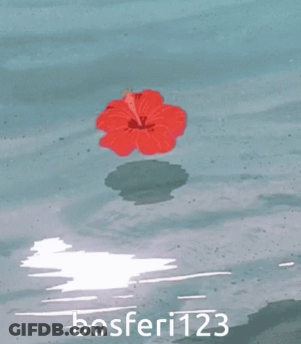 A Red Flower Is Floating In The Water With Bosferi123 GIF