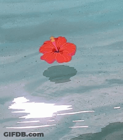 A Red Flower Is Floating On Top Of A Body Of Water GIF