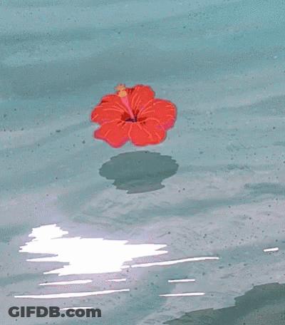 A Red Flower Is Floating On Top Of A Body Of Water GIF