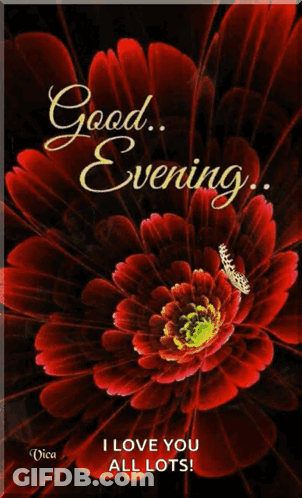 A Red Flower With A Butterfly On It Says Good Evening GIF