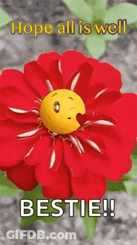 A Red Flower With A Smiley Face In It And The Words Hope All Is Well Bestie ! GIF