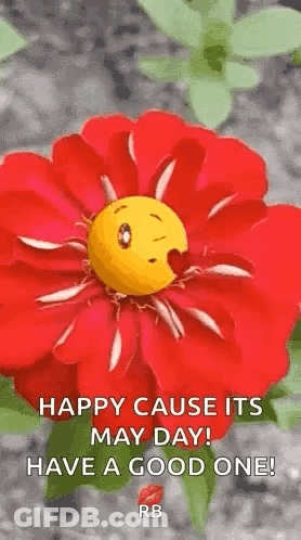 A Red Flower With A Smiley Face On It And The Words `` Happy Cause Its May Day Have A Good One '' . GIF