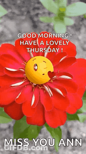 A Red Flower With A Smiley Face On It . GIF