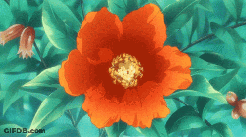 A Red Flower With A Yellow Center Is Surrounded By Greenery GIF