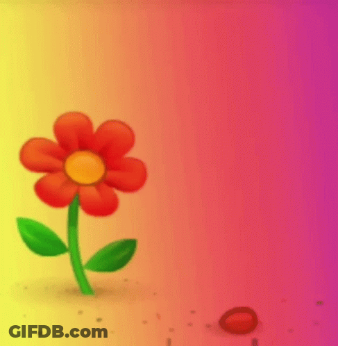 A Red Flower With Green Leaves Against A Rainbow Background GIF