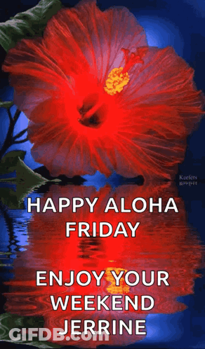 A Red Flower With The Words Happy Aloha Friday Enjoy Your Weekend Jerrine Written On It GIF