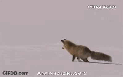 A Red Fox Is Jumping In The Air In The Snow . GIF