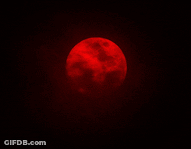 A Red Full Moon In A Black Sky GIF