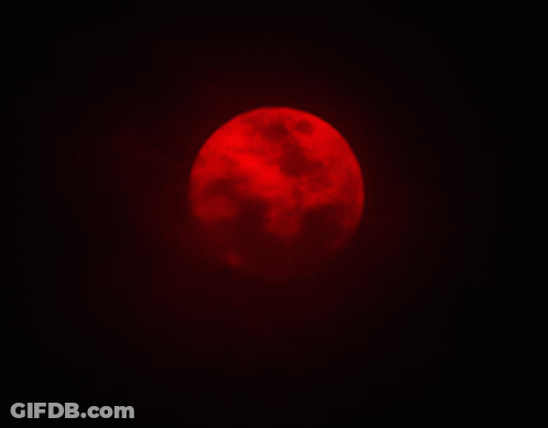 A Red Full Moon In A Dark Night Sky GIF