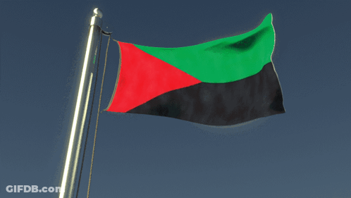 A Red Green And Black Flag Is Flying On A Pole GIF