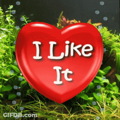 A Red Heart That Says I Like It In White Letters GIF