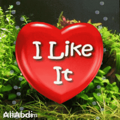 A Red Heart That Says I Like It In White Letters GIF