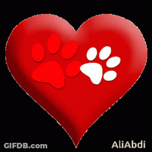 A Red Heart With A White Paw Print On It And The Name Aliabdi On The Bottom GIF