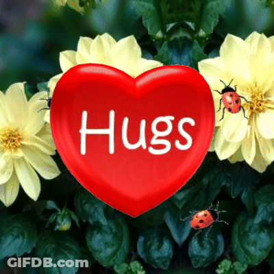 A Red Heart With The Word Hugs On It Is Surrounded By Yellow Flowers GIF