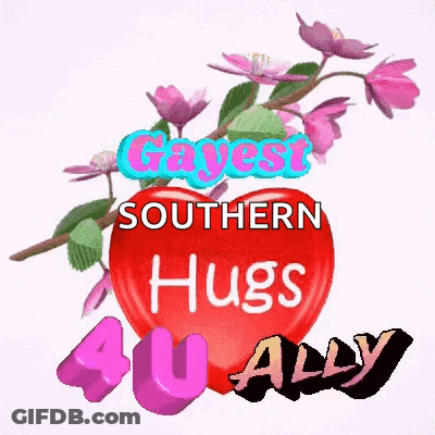 A Red Heart With The Words Gayest Southern Hugs 40 Ally On It GIF
