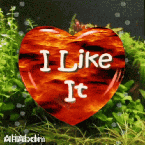 A Red Heart With The Words " I Like It " Written On It GIF
