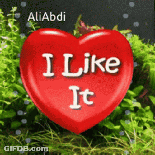 A Red Heart With The Words " I Like It " Written On It GIF