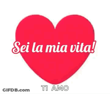Red Heart With Sei La Mia Vita Inside GIF