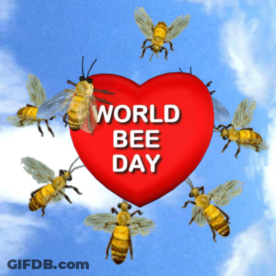 A Red Heart With The Words World Bee Day Written On It GIF