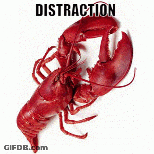 A Red Lobster Is On A White Background With The Word Distraction Above It GIF