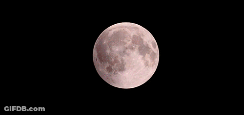 A Red Moon Is Visible In The Dark Sky GIF