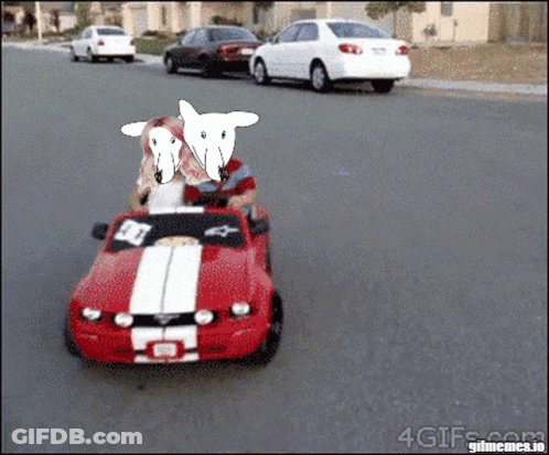 A Red Mustang With A White Stripe On The Side GIF
