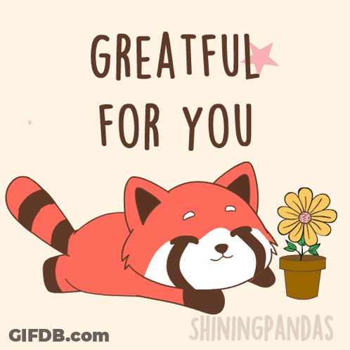 A Red Panda Laying Down Next To A Potted Flower With The Words " Greatful For You " GIF