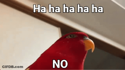 A Red Parrot With The Words " Ha Ha Ha Ha No " Written Above It GIF
