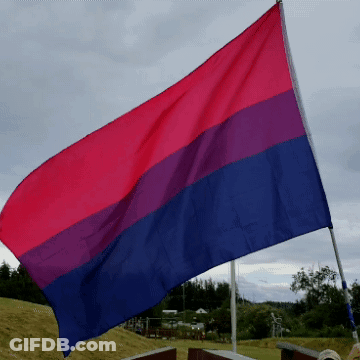 A Red Purple And Blue Flag Flies In The Wind GIF