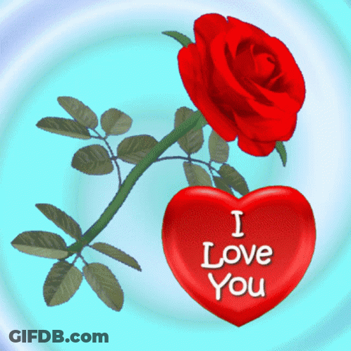 A Red Rose And A Heart That Says I Love You GIF