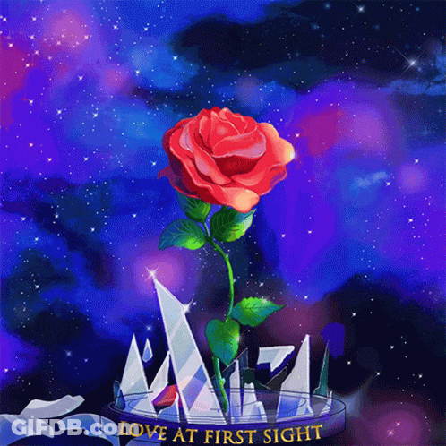 A Red Rose In A Glass Container With The Words Love At First Sight On The Bottom GIF