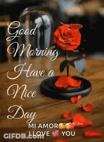 A Red Rose In A Glass Vase On A Wooden Table With Petals . GIF