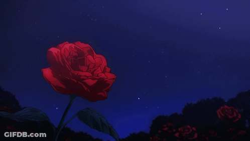 A Red Rose Is Against A Dark Blue Sky GIF