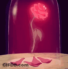 A Red Rose Is Glowing In A Glass Dome GIF