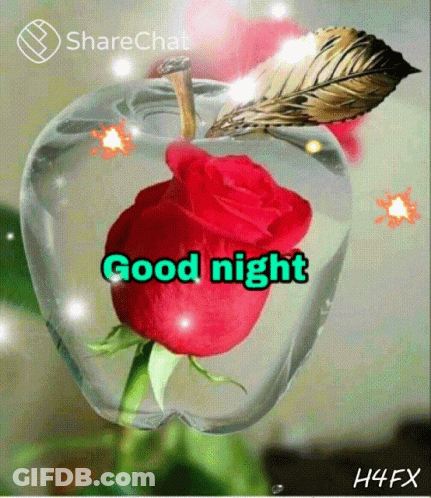 A Red Rose Is In An Apple With The Words Good Night Written On It GIF