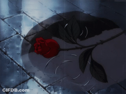 A Red Rose Is Laying In A Puddle Of Water On A Tiled Floor GIF